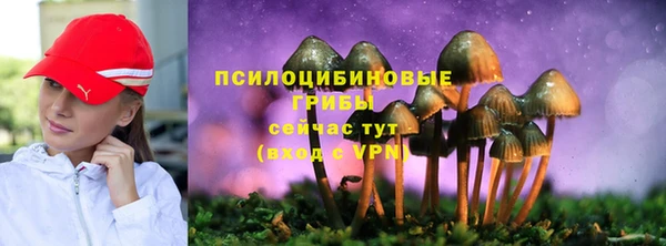 первитин Вязьма