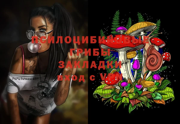 мескалин Вяземский