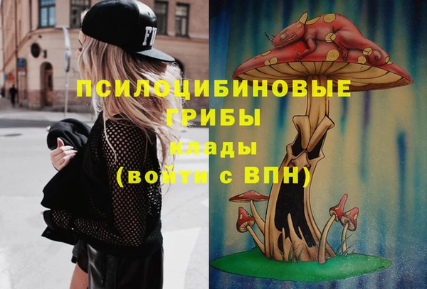 первитин Вязьма
