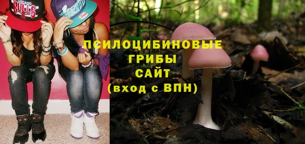 первитин Вязьма