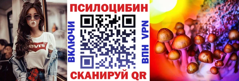 MEGA   где купить наркоту  Заинск  Галлюциногенные грибы GOLDEN TEACHER 